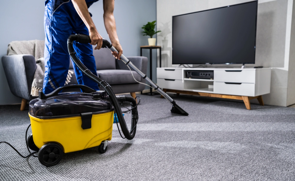 Extract Upholstery Cleaning Avalon Contact Office